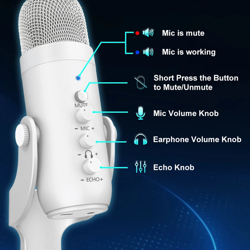 Microfone Condensador Profissional Haomuren